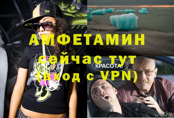 сатива Горнозаводск