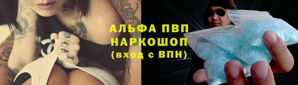 сатива Горнозаводск