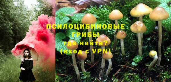 МДМА Горно-Алтайск